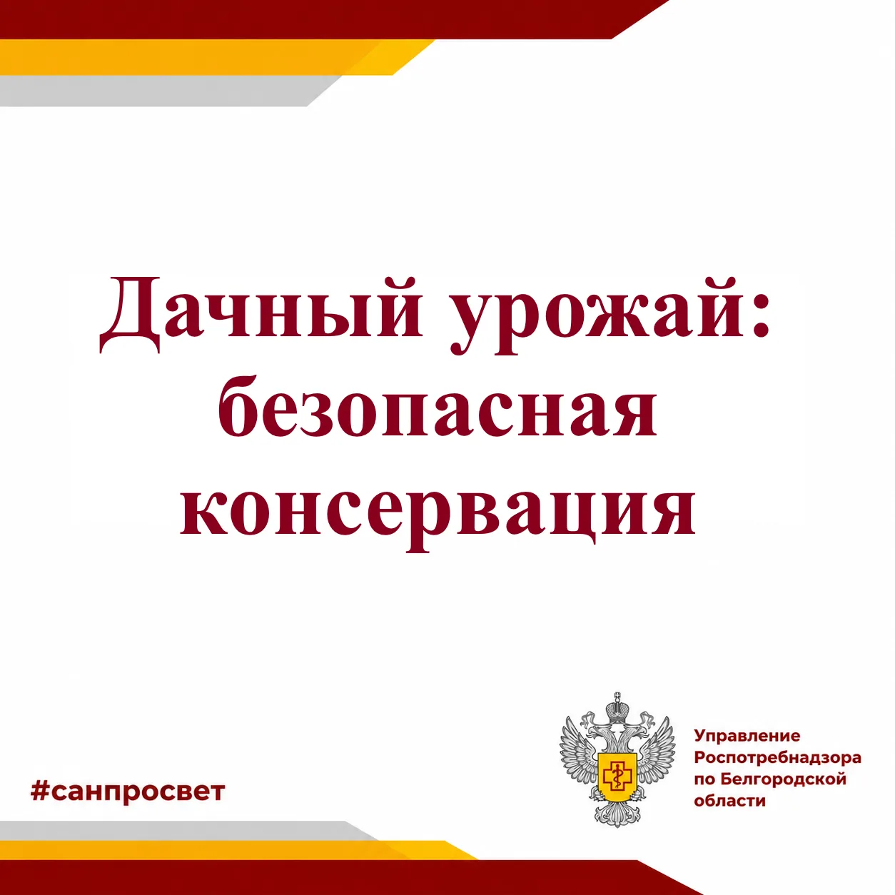 Дачный урожай: безопасная консервация.