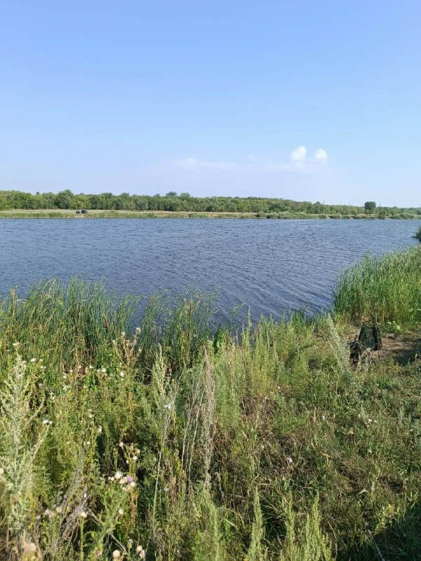 **Утренняя рыбалка на Волге**