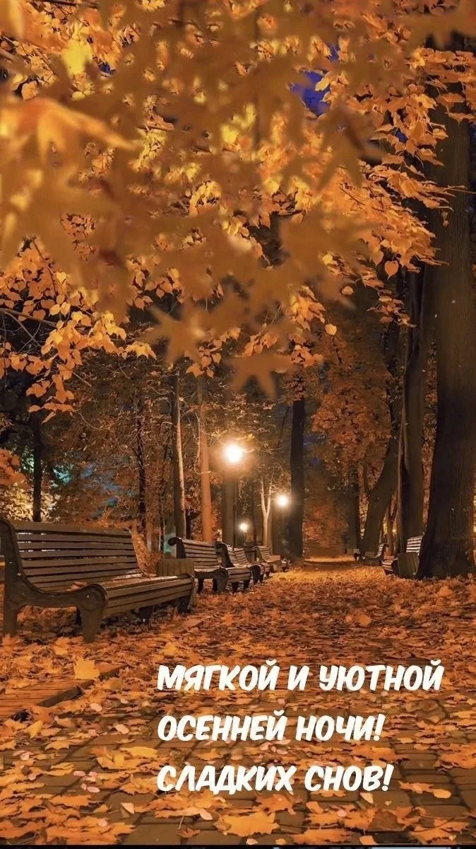 🥰Ставьте реакции и делитесь открыткой с близкими ❤️