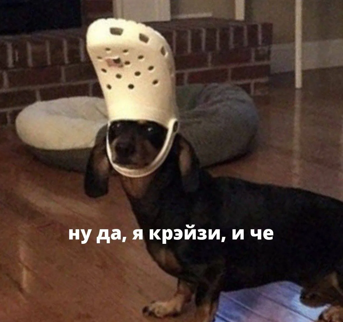 Рождённые 14-го, это правда? 😁

Нумерологи считают, что люди, появившиеся на свет 14 числа, — самые