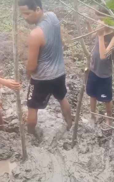 Как ему не пришло в голову.