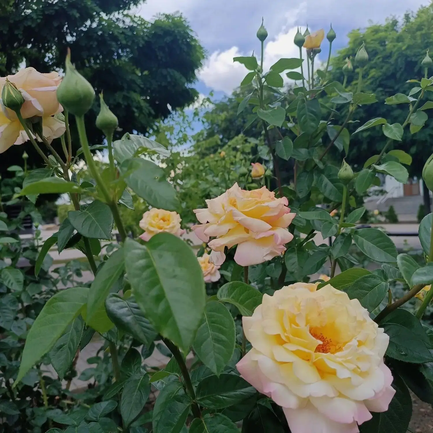 Доброе утро, жители Миллеровского района!💛

Пусть эта неделя принесёт вам не только рабочие победы,