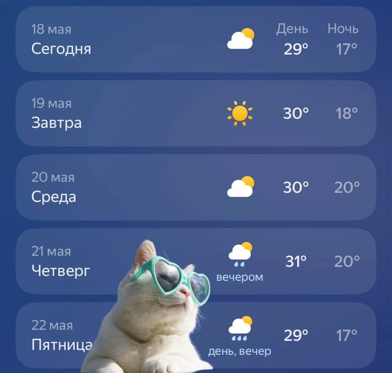 В Раменском началась неделя аномальной жары с температурой выше +30 градусов   Температура будет выш