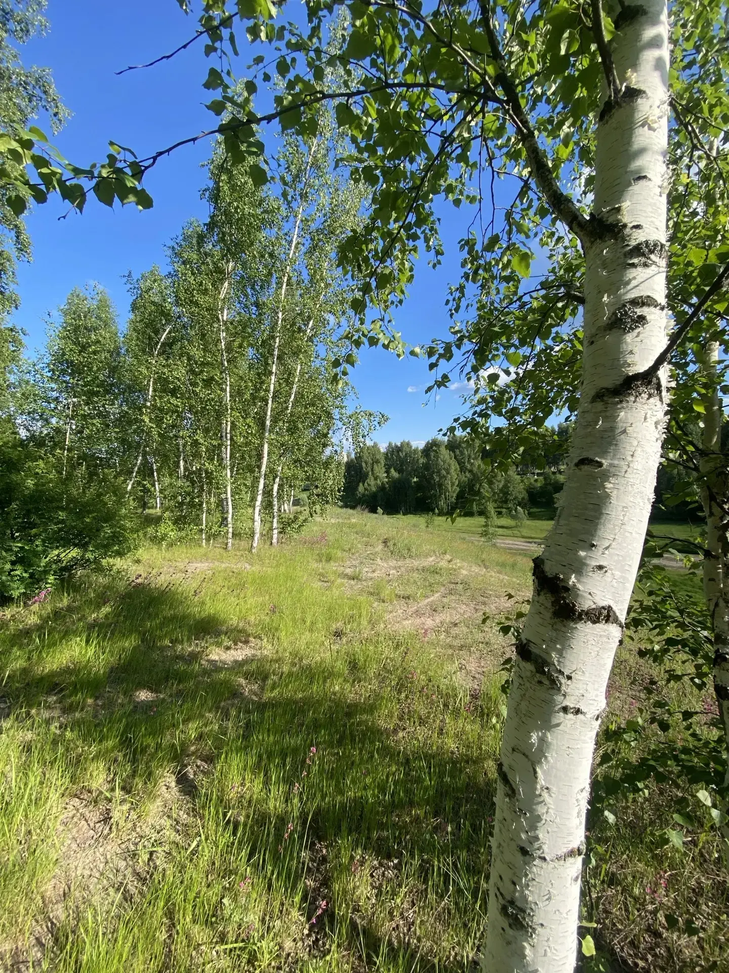 Доброе утро, Зеленодольск 🌞