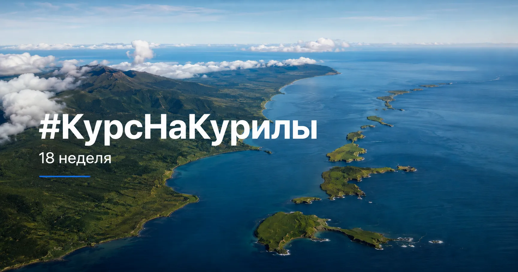 #КурсНаКурилы_18 неделя: моя слепая ставка