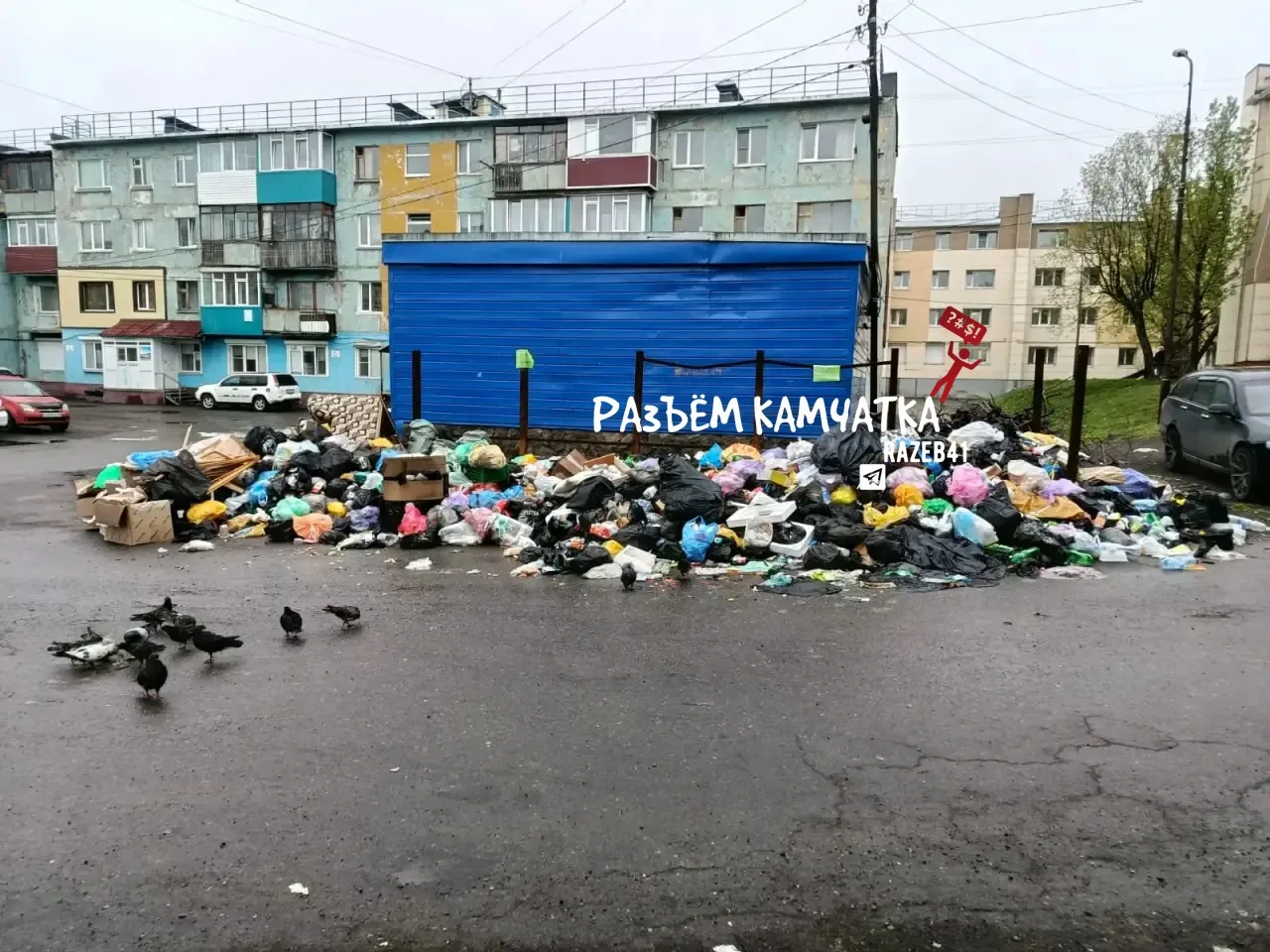 Пздц, это что за мусорный апокалипсис?

Кадры с Тушканова,  д.17, Петропавловск.

Снег давно расчист