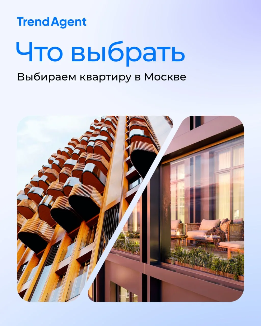 Север, запад, юг или восток — где выбрать квартиру в Москве ⁉️