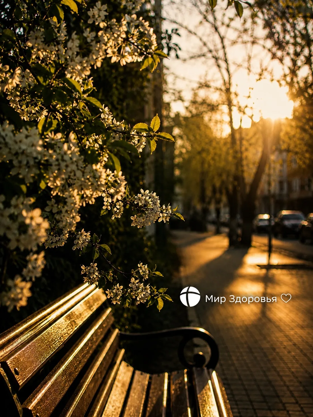 Май. Наконец-то тепло! ☀️