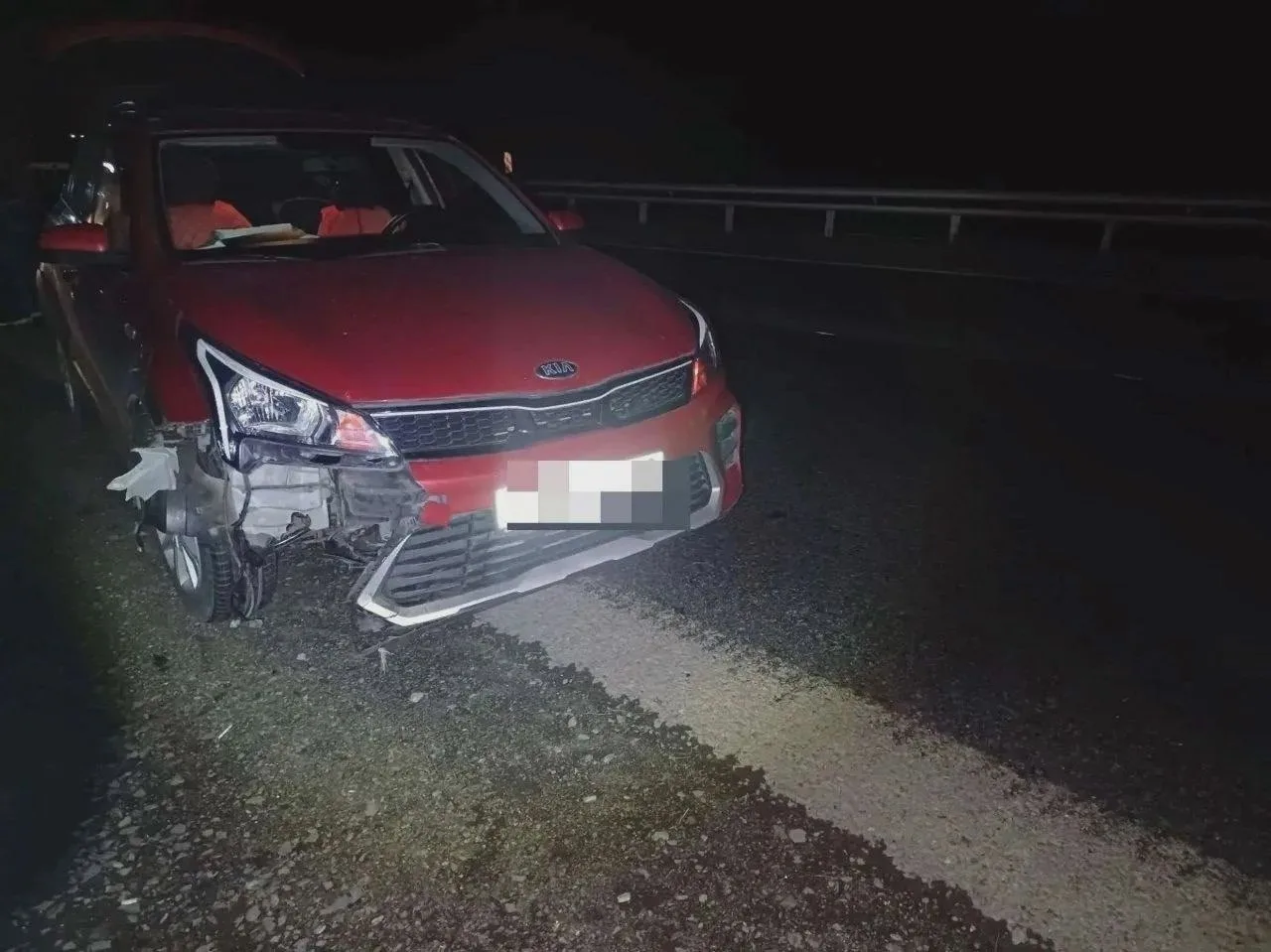 🫎 Лось погиб под колёсами Kia на трассе