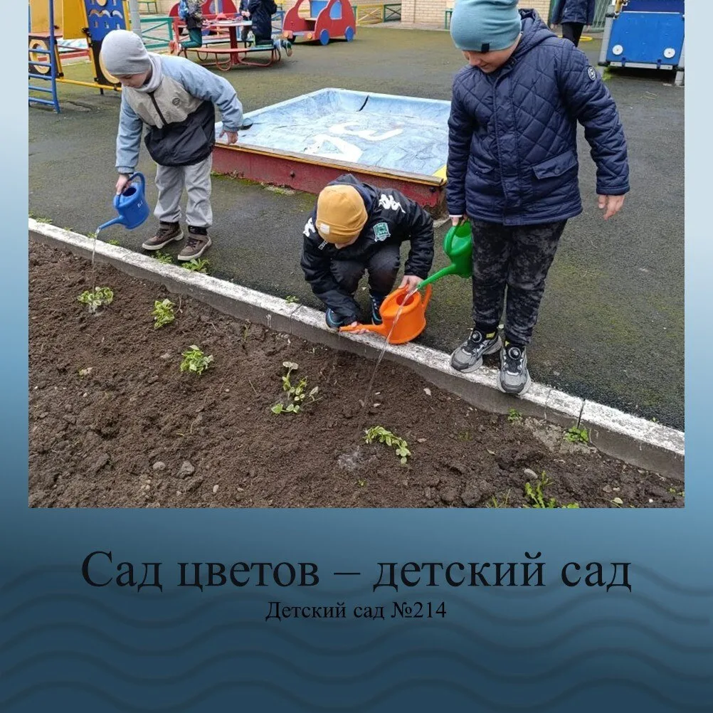 МАДОУ МО г. Краснодар «Детский сад №214» продолжает участие в V Всероссийском летнем фотофестивале «