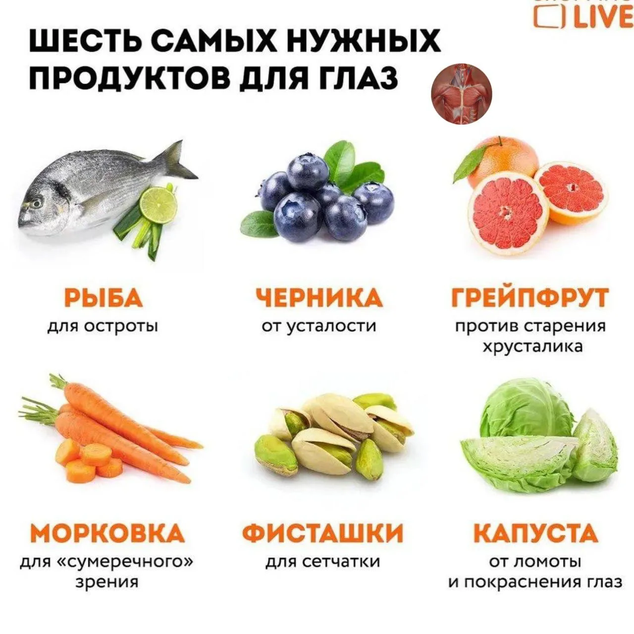 Продукты, которые помогают поддерживать здоровье глаз 👁