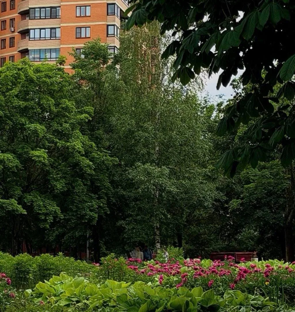 🌸Пионы цветут в парке 30-летия Победы

В Центральном Чертаново наступила пора цветения. Шикарные ку