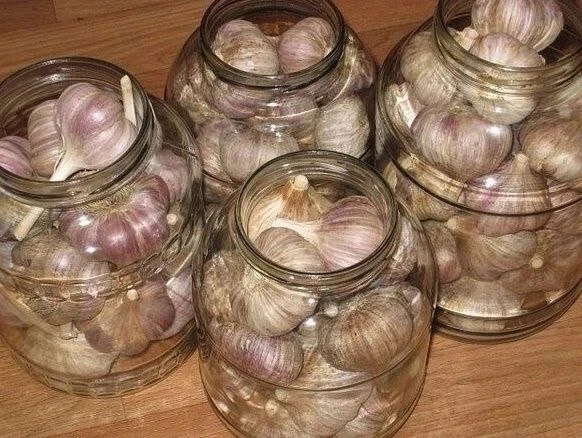 ВАЖНО ЗНАТЬ КАКИЕ ТРЕБОВАНИЯ НУЖНО СОБЛЮДАТЬ, ЧТОБЫ ЧЕСНОК НЕ СГНИЛ 🧄🧄🧄 ВОЗЬМИТЕ СЕБ...
