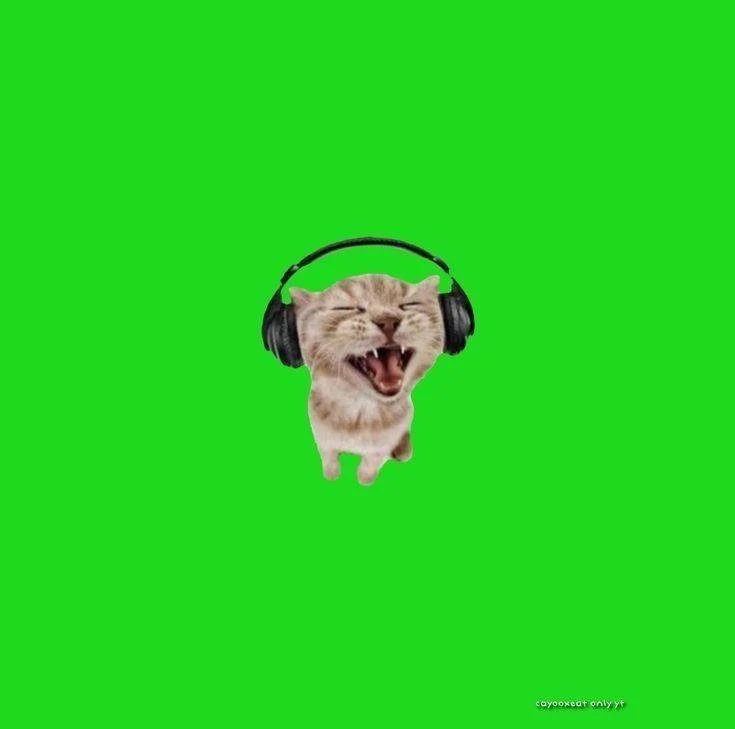 Pinterest | TikTok