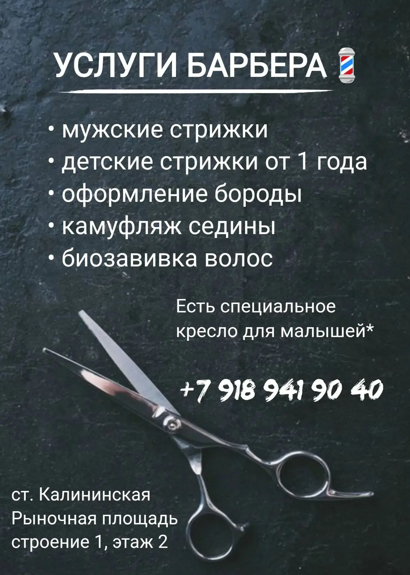 ☎️ +79189419040