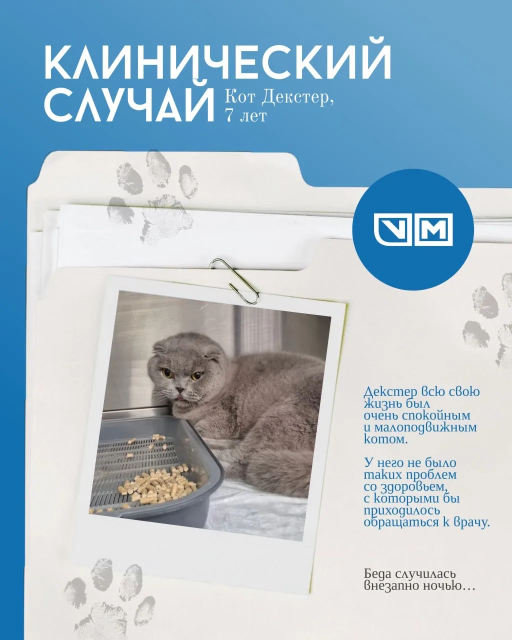 🐾 КЛИНИЧЕСКИЙ СЛУЧАЙ | Кот Декстер, 7 лет