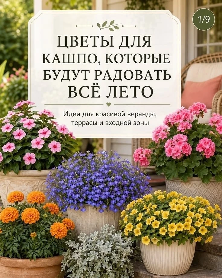 Цветы в кашпо, которые будут радовать все лето 🌸