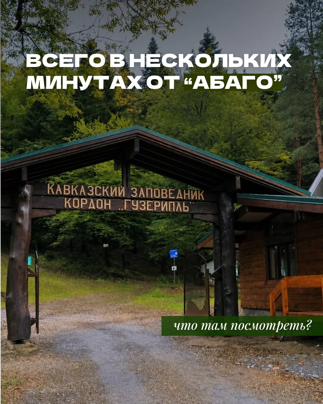 📍 Кордон Кавказского заповедника — место, которое стоит посетить, отдыхая у нас 🙌🏻