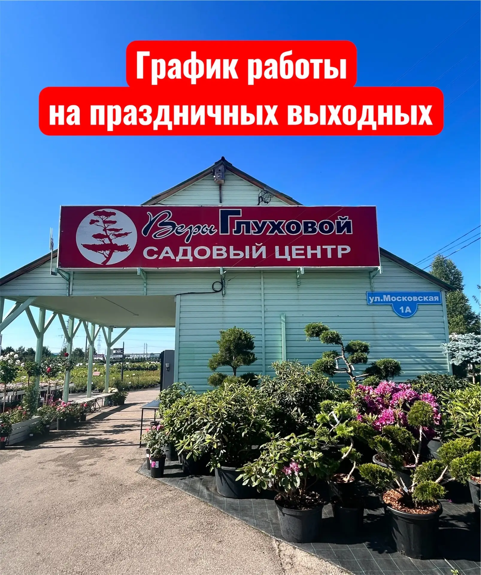 🕐 ГРАФИК РАБОТЫ НА ПРАЗДНИЧНЫХ ВЫХОДНЫХ 

Дорогие друзья, мы работаем каждый день без выходных и пе