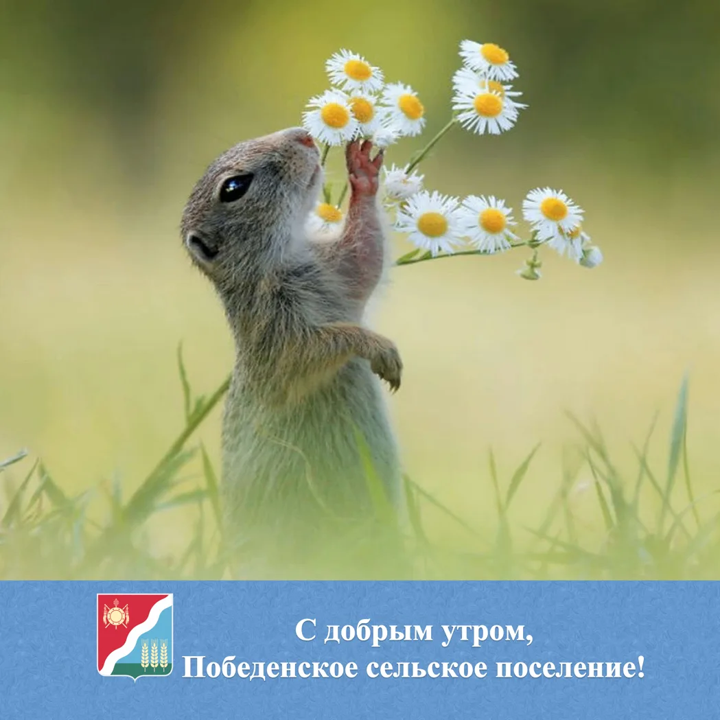 🌟 С добрым утром жители и гости Победенского сельского поселения!