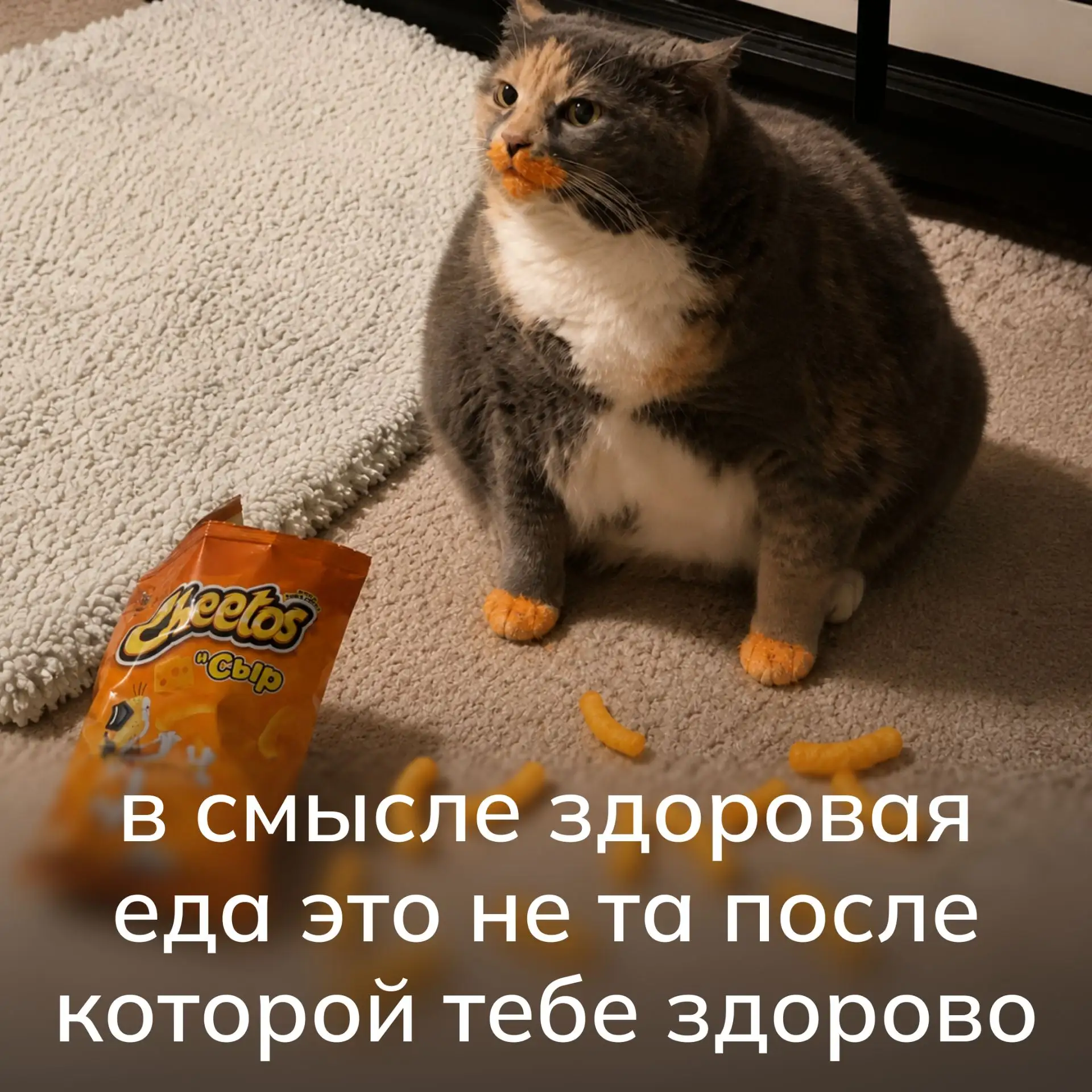 Суббота — время отдохнуть от рабочих созвонов, отсиженной жопы и маршрута «ноутбук→холо...