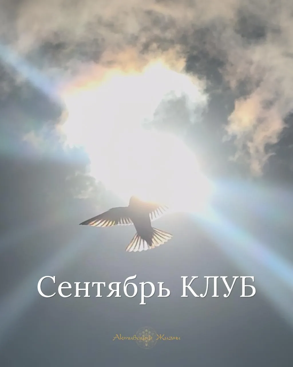 ❕Задайте себе вопрос: