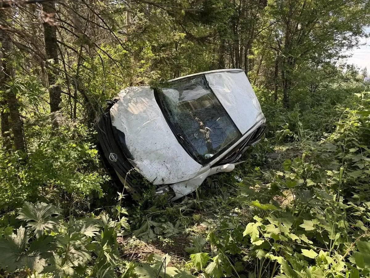 В Красноярском крае в ДТП погибла женщина, трое её детей пострадали