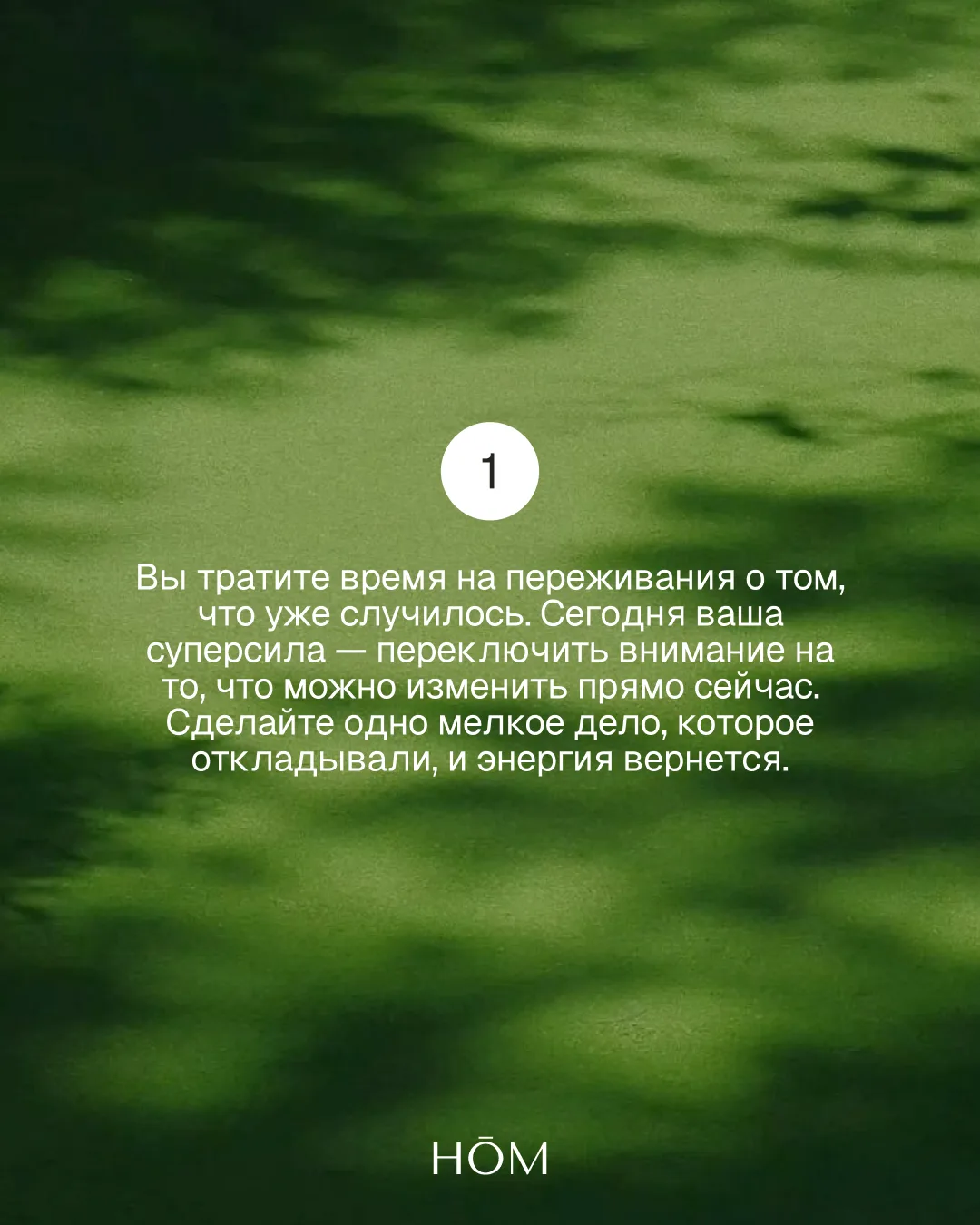Поставь реакцию🤍