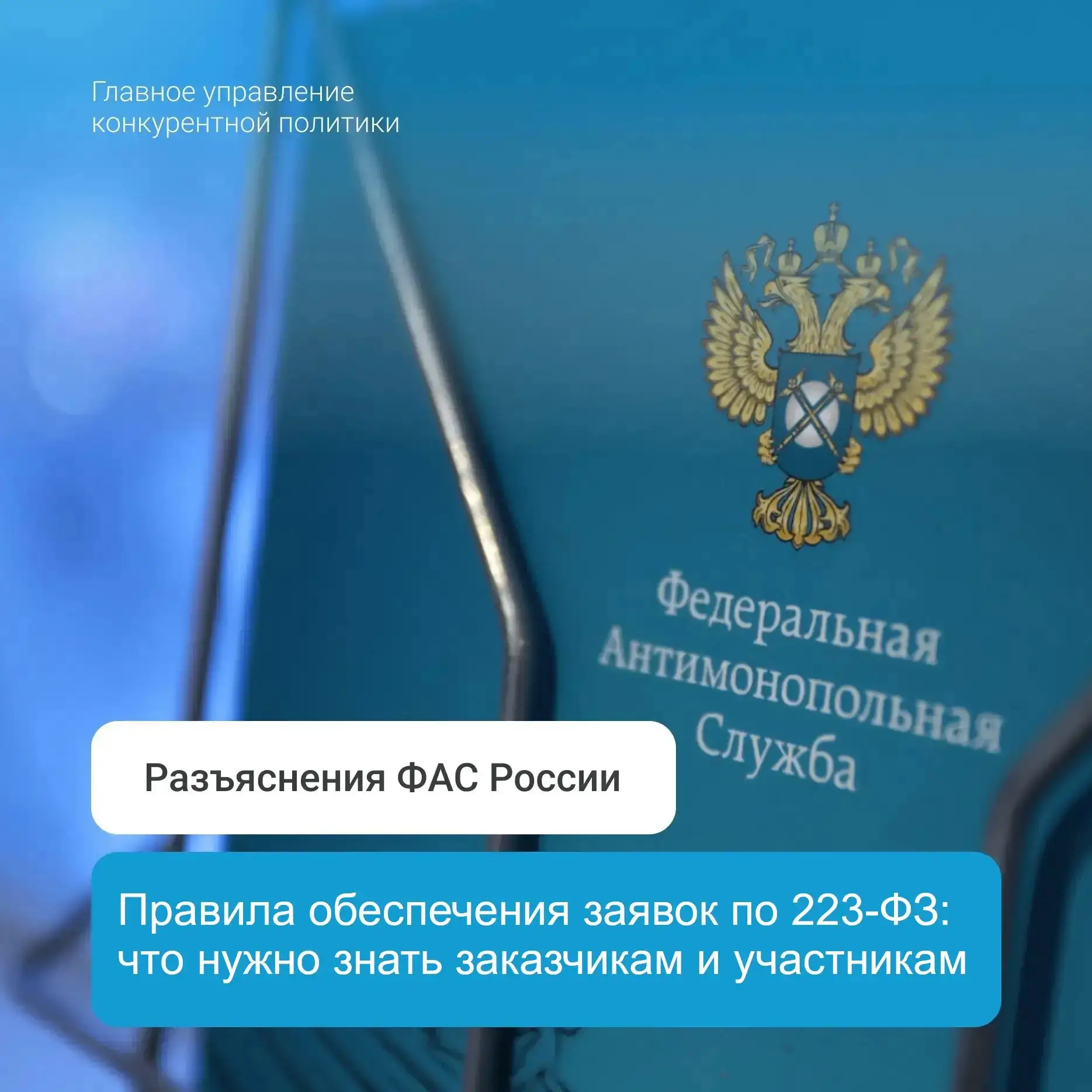 📜 ФАС разъяснила правила обеспечения заявок по 223‑ФЗ: что нужно знать заказчикам и уч...