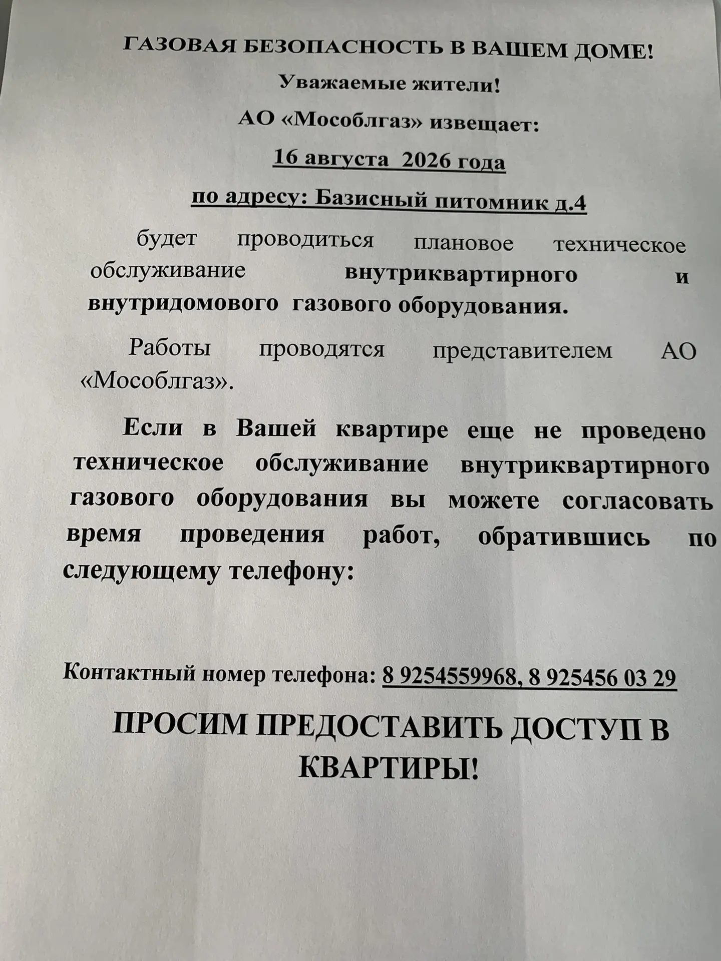Базисный питомник д.4