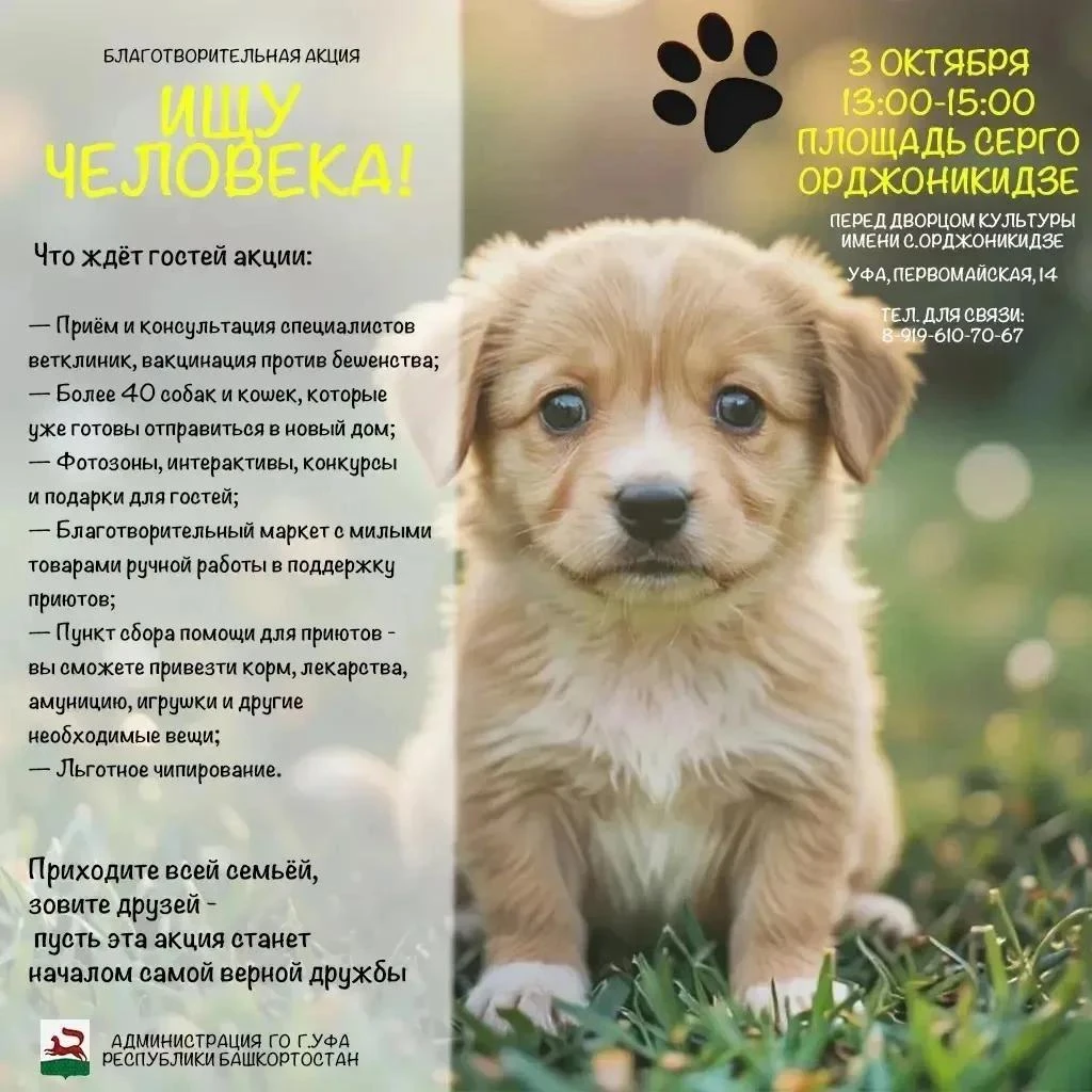 🐶 Завтра, 3 октября, в Уфе вновь распахнёт свои двери праздник добра — благотворительн...