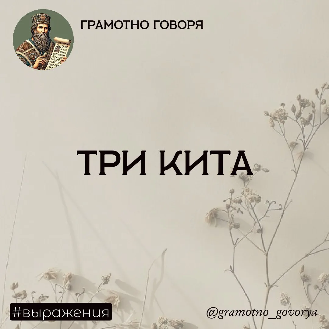 Три кита — откуда фраза? 

Фразеологизм «три кита» означает главную опору, фундамент чего-либо. Это 