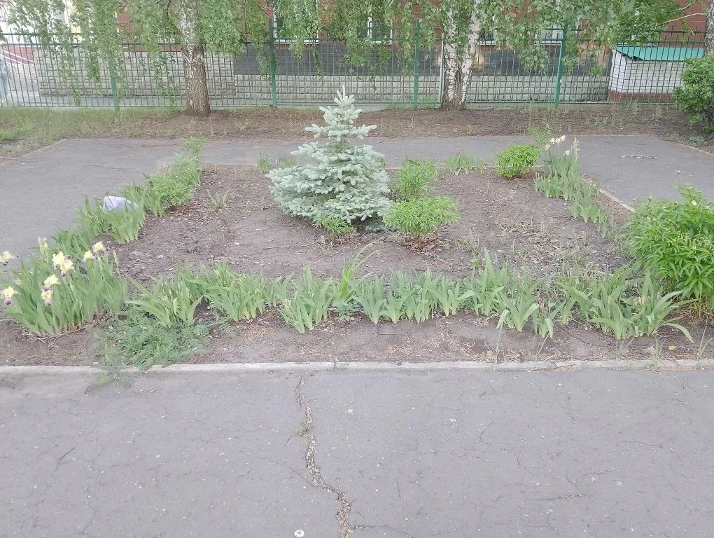 Хотим поделиться с вами радостной новостью: этой весной ученики 1 «А» класса вырастили собственную р