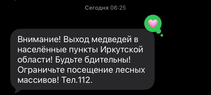 Иностранцы с 16 века твердили, что в России медведи по улицам ходят, но им не верили на...