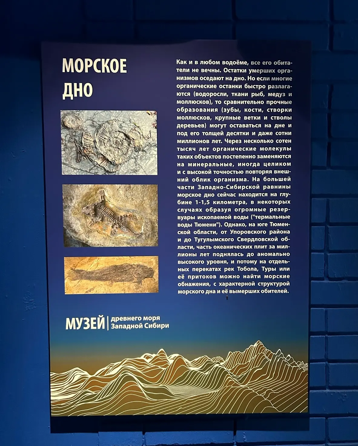 Скоро, очень скоро: музей «Древнего моря Тюмени» готовится к открытию!
