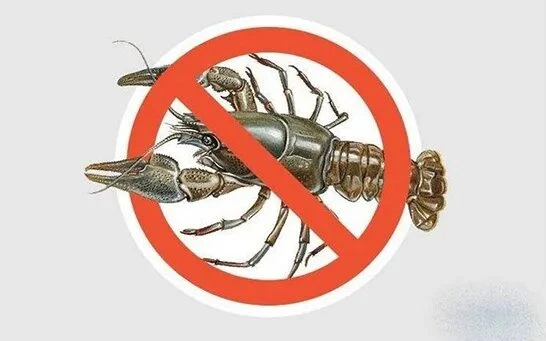 🚫🦞 В ЛНР вводят временный запрет на ловлю раков — с 20 августа по 30 сентября