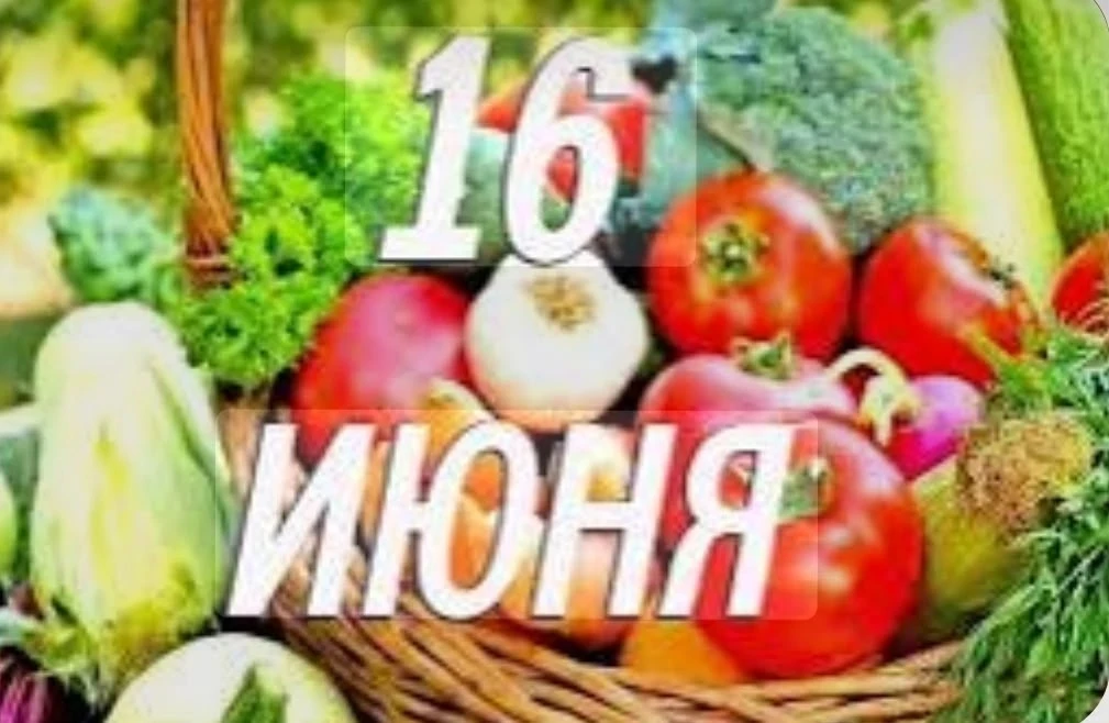 В рамках библиотечного проекта "Книга +Я"