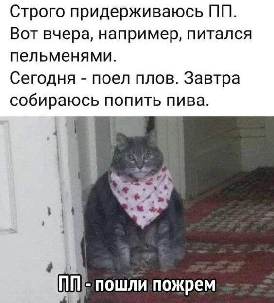 🙈🤣