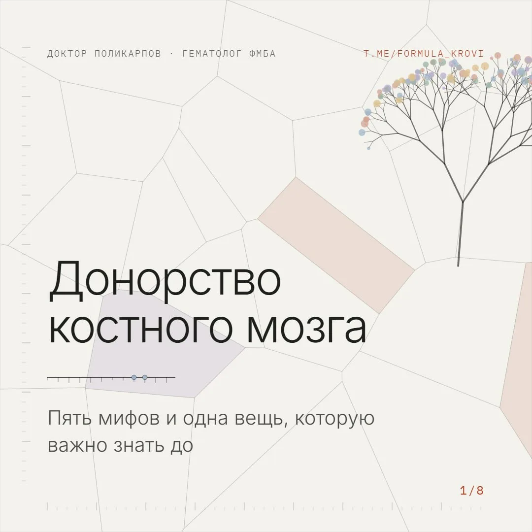 В завершение серии постов о трансплантации костного мозга я подготовил для вас серию ка...