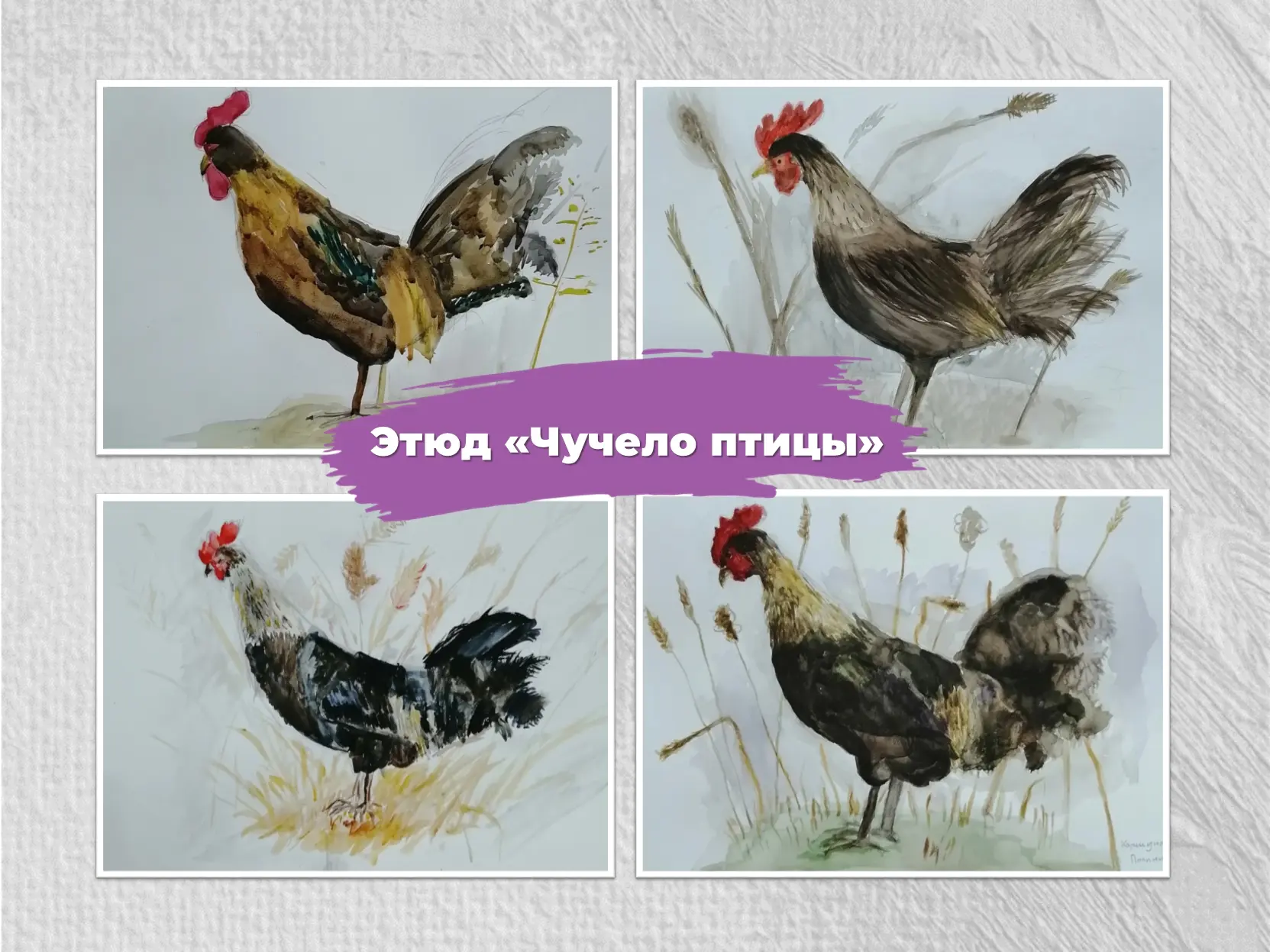 🖌 Этюды чучела птицы акварелью