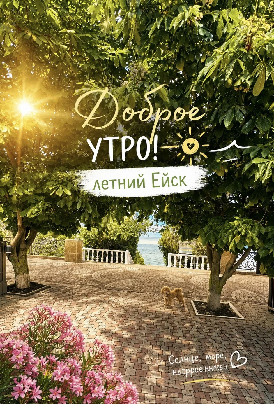 Доброе утро, Ейск!


⛅️На сегодня прогнозируется переменная облачность с возможными незначительными 