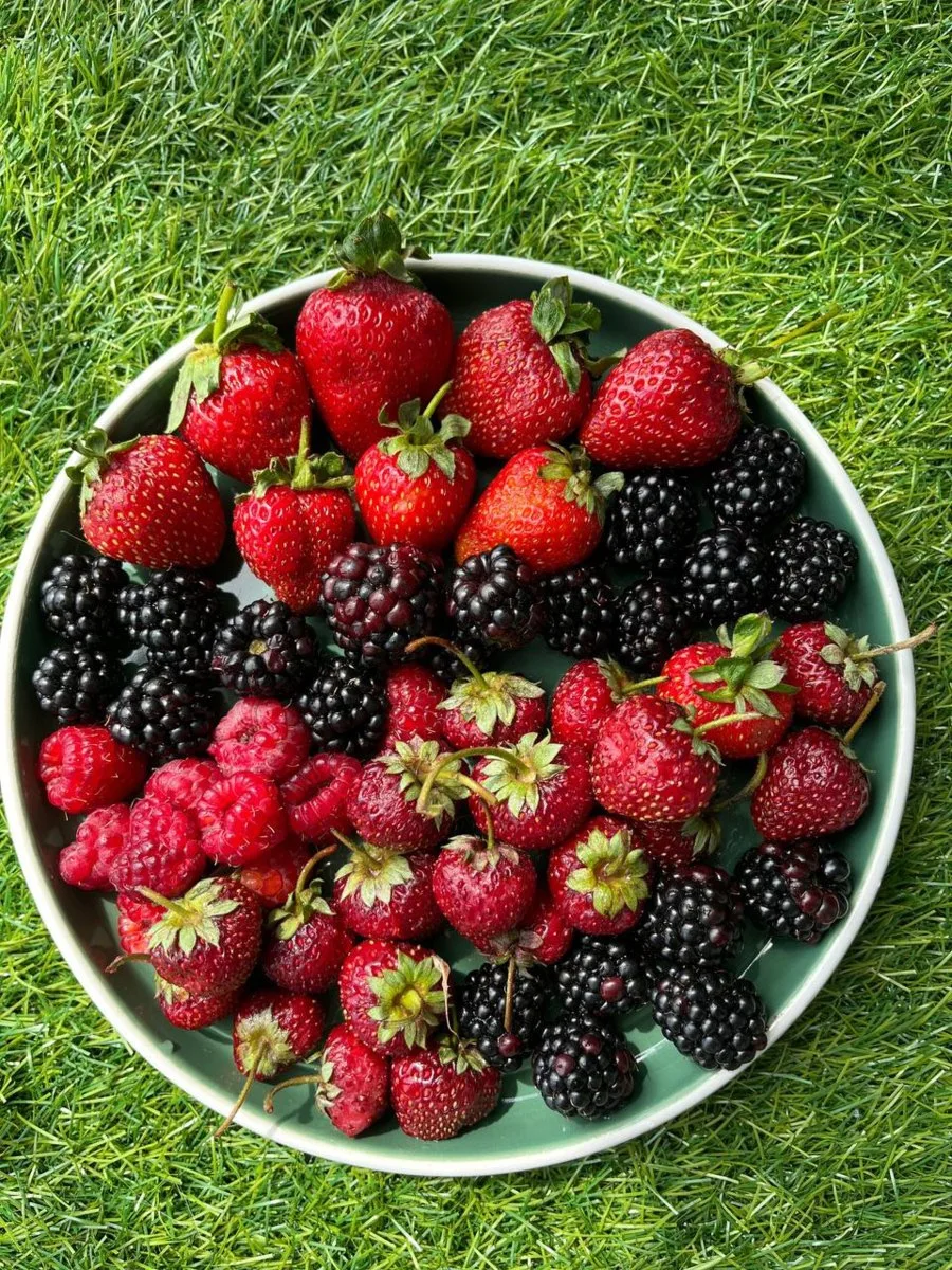 🍓 Мы продолжаем принимать заказы на свежую ягоду! 🍒

Лето в самом разгаре, а значит самое время на