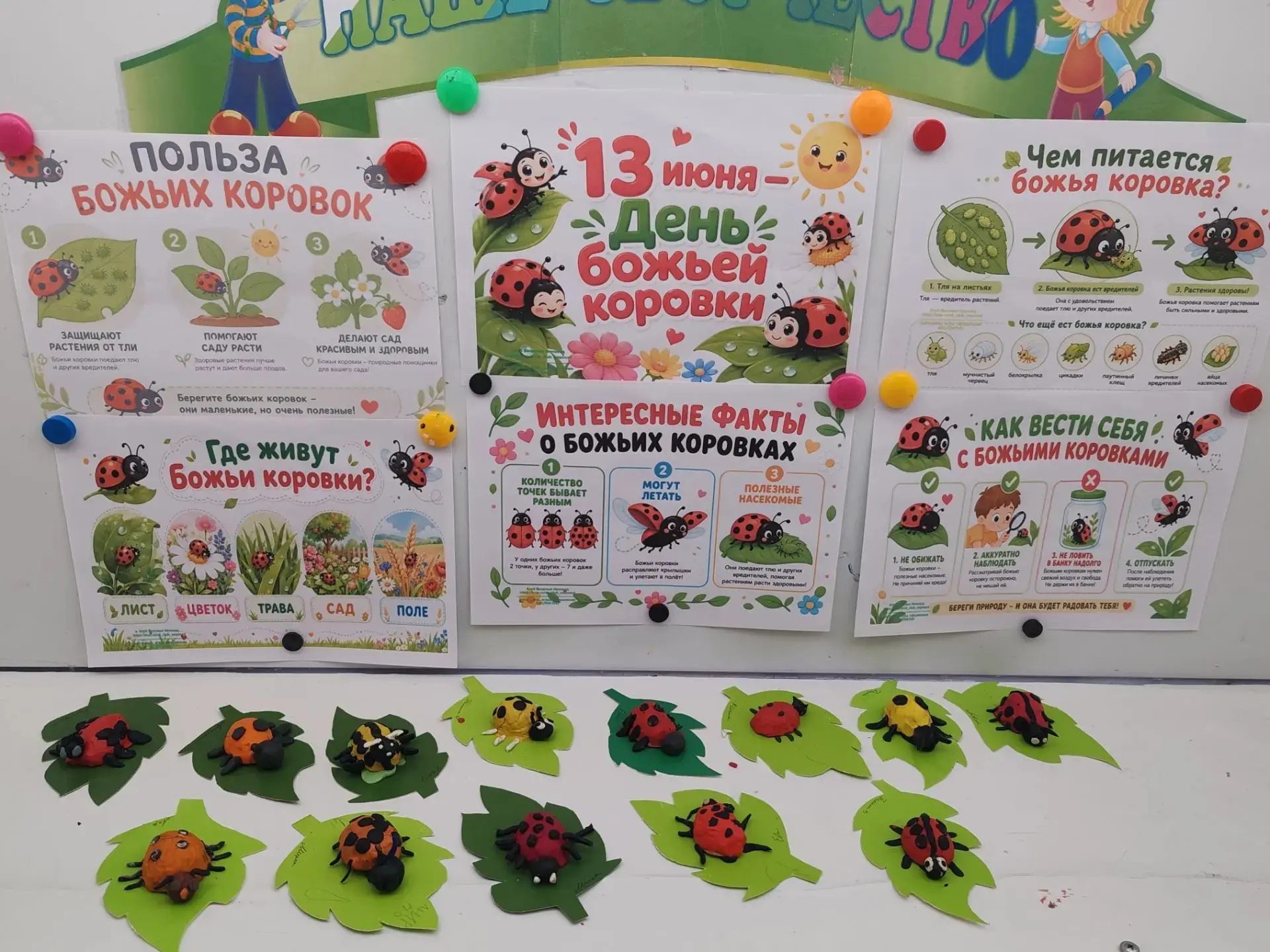🐞 13 июня — День божьих коровок!
Этот праздник неофициальный, но экологический — в честь ярких крас