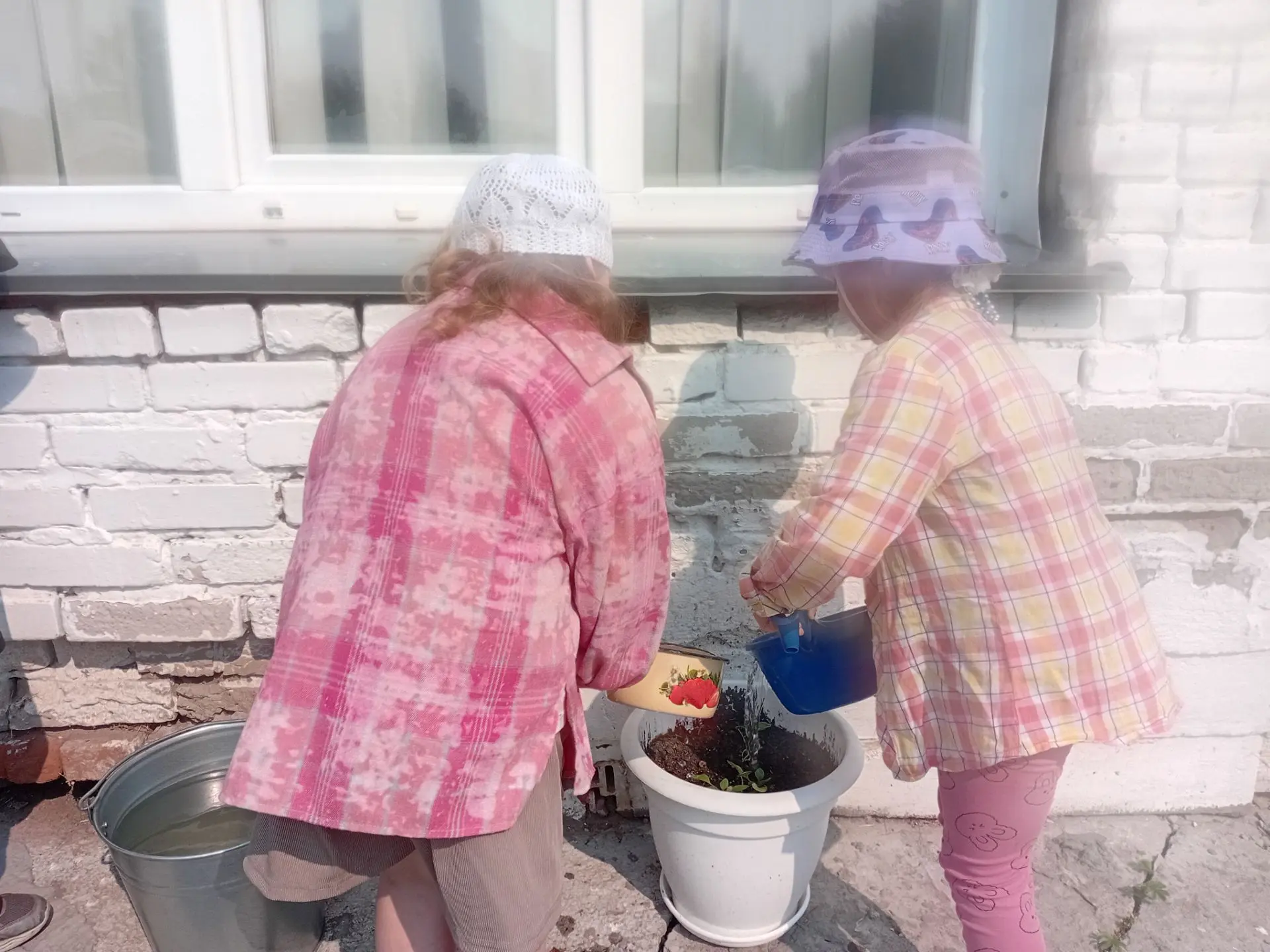 🌱 Маленькие шаги к большому росту 🌱

Иногда самые важные уроки жизни прячутся в простых вещах. Вот