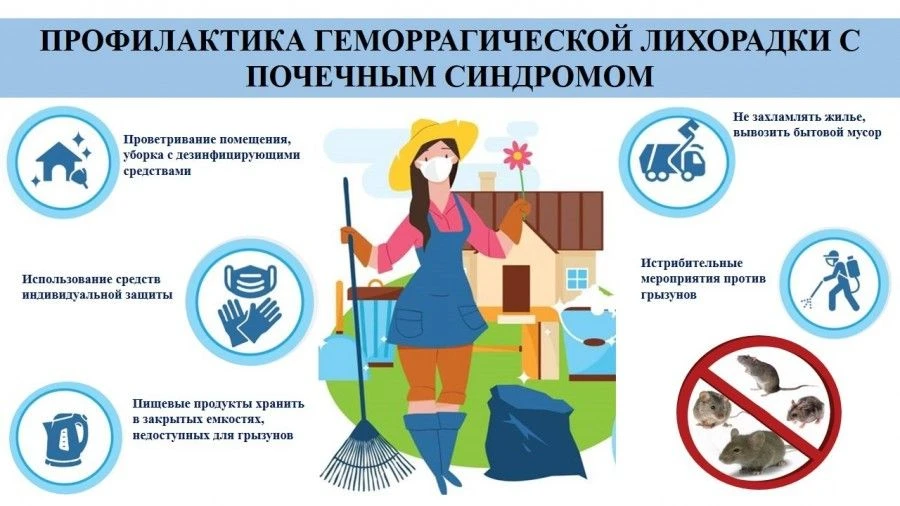 🦠 ГЛПС (геморрагическая лихорадка с почечным синдромом) — зоонозная инфекция (зооноз),...