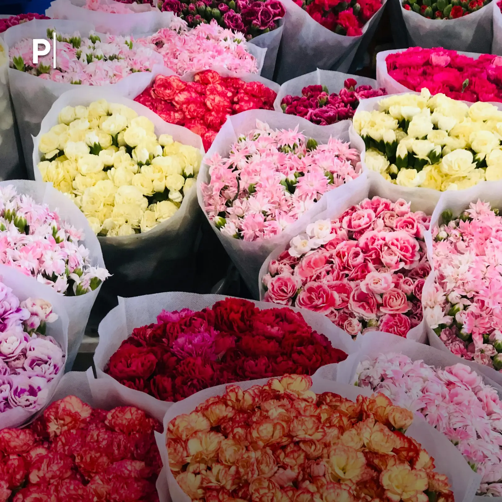 💐 «Букетчицы» пришли на смену «тарелочницам» — в России набирает популярность новая схема обмана на 