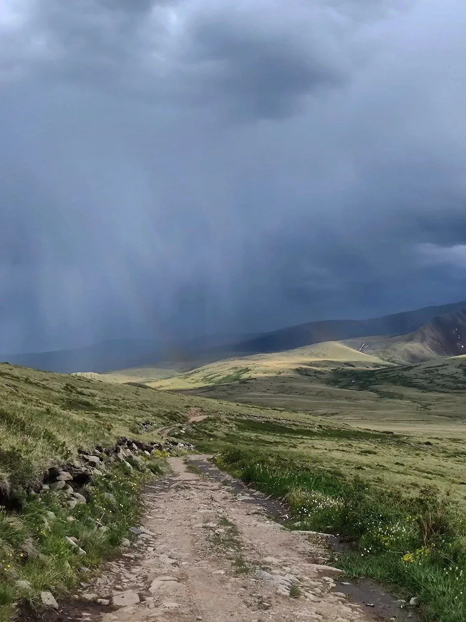 🏞 Тур Укок + Южный Алтай - окрестности с. Джазатор