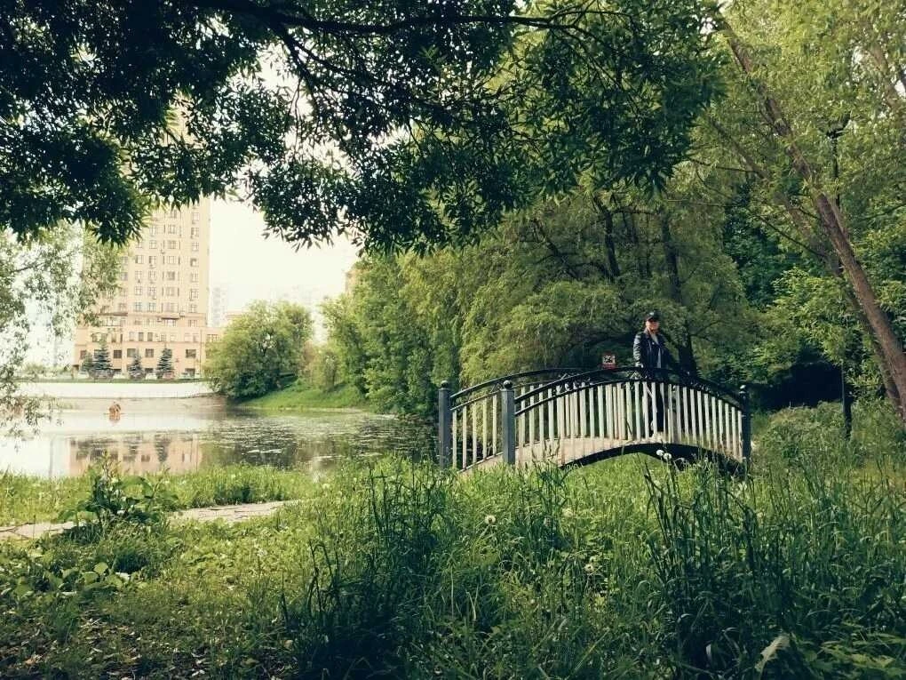 Немного красоты вам с утра новой рабочей недели ❤