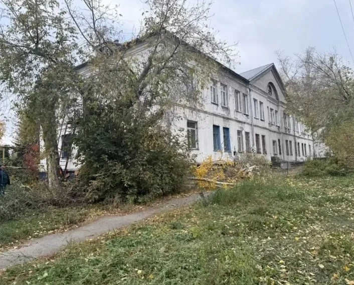 Ветер повредил линии электропередачи и повалил деревья в Барнауле