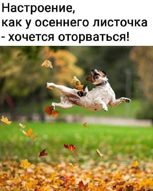 Мода Смеха
